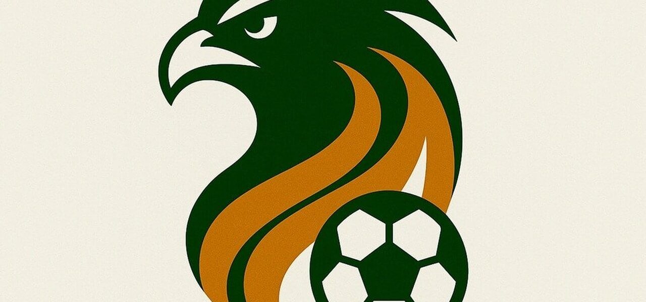 خطة النصر لاستعادة نجم الوسط عبر دوري جوي للنخبة