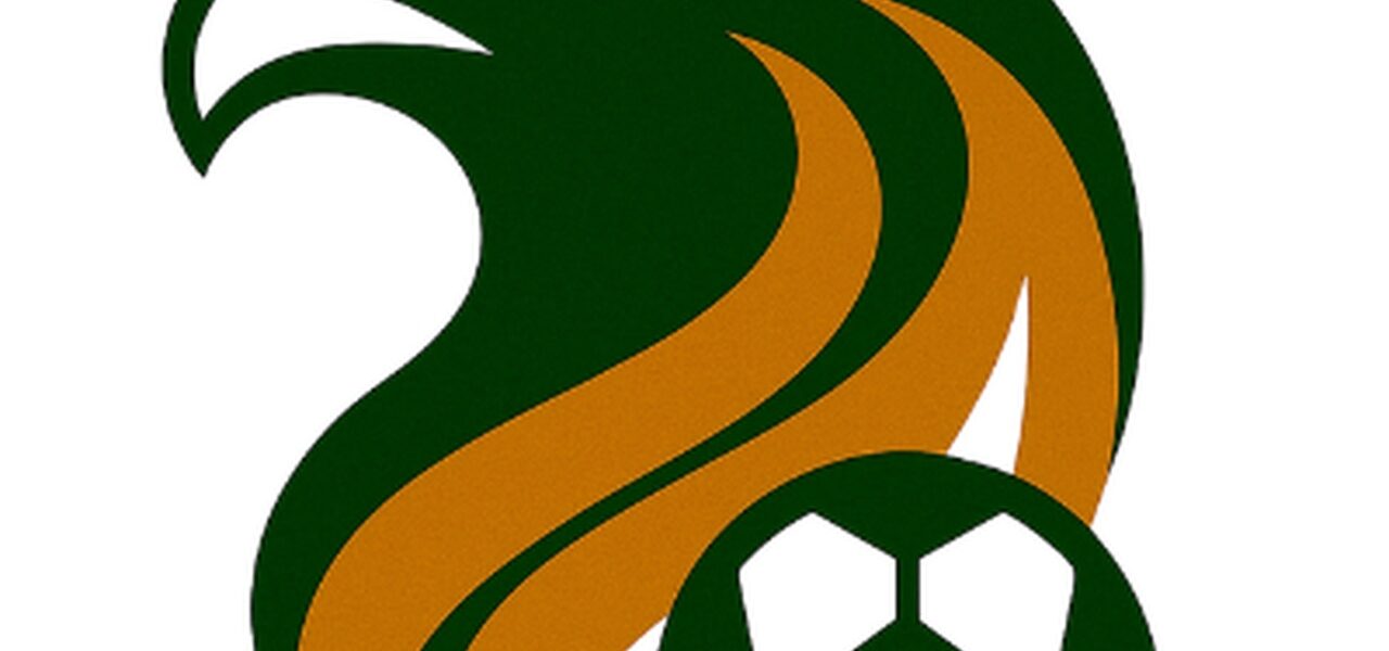 قرار لجنة الانضباط السعودي يحسم شكوى الهلال ضد مدرب النصر