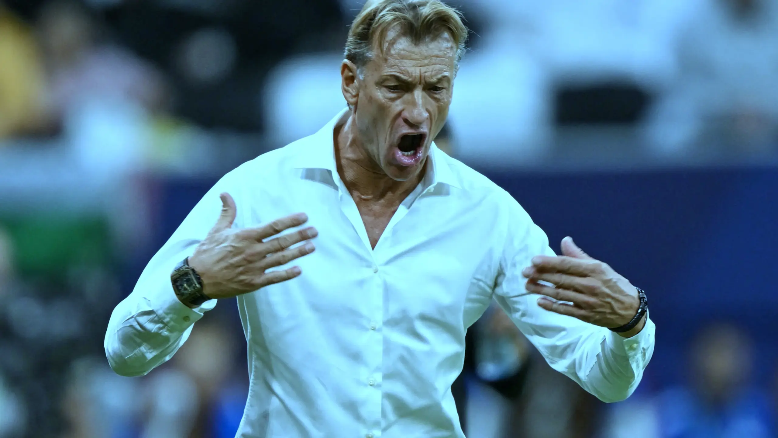 ماذا يحدث إذا استطاع هيرفي رينارد إثبات أن الاتحاد السعودي أنهى العقد بشكل رسمي؟